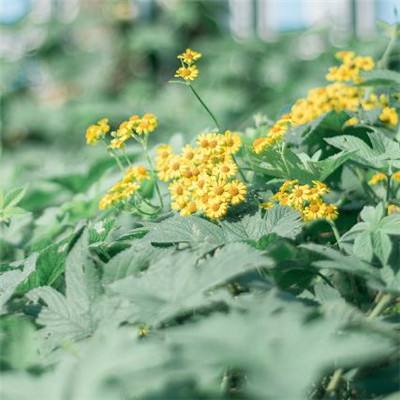 烈火八荒手游正式版下载